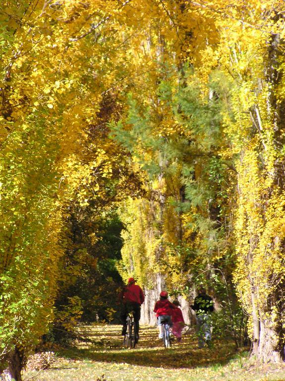 On The Banks