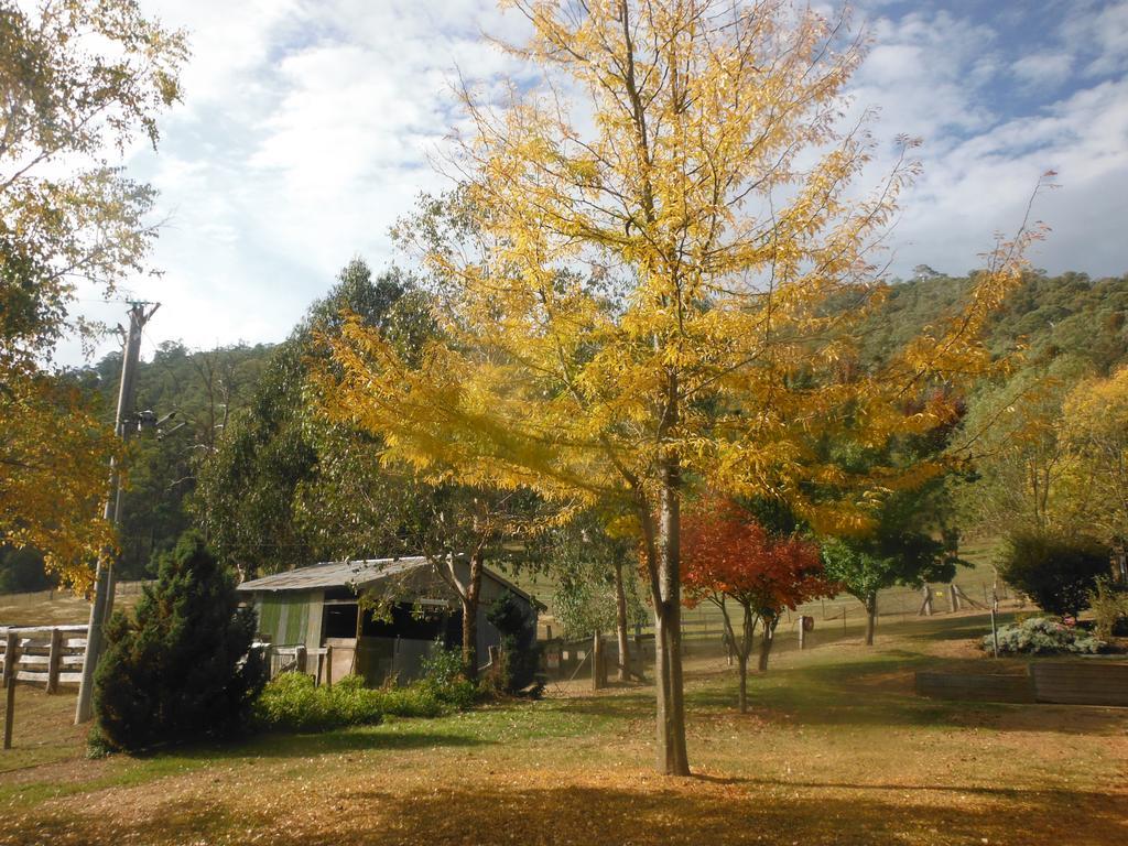 Riverbend Homestead *