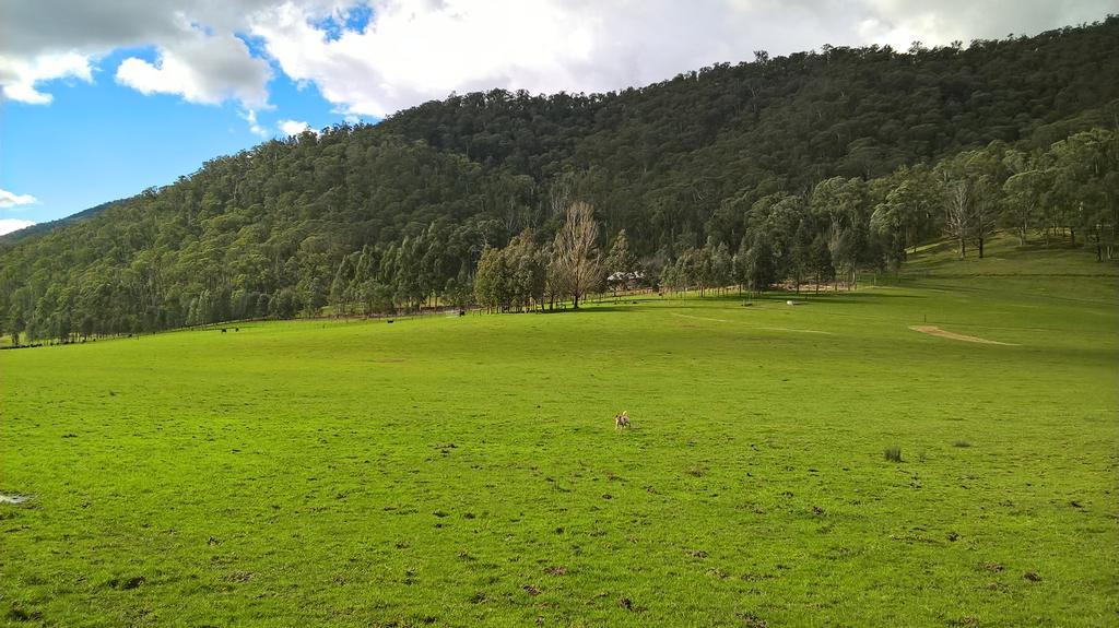 Riverbend Homestead Holiday home *