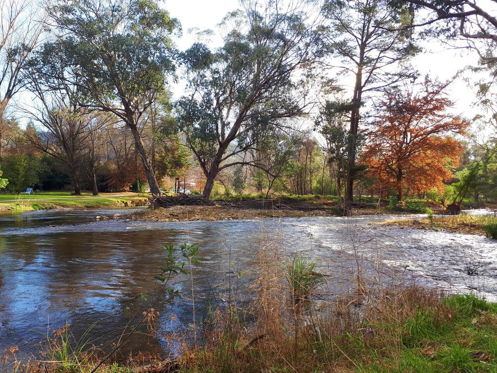 On The Banks Bright
