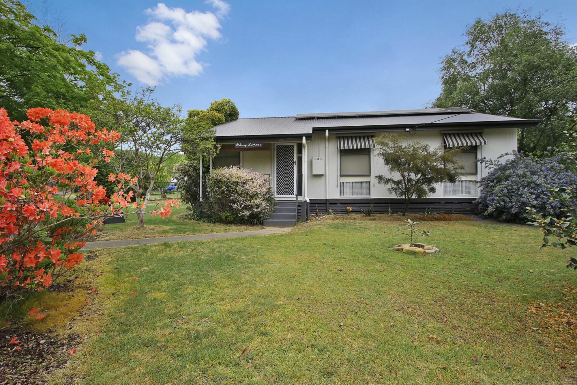 Delany Surprise - Pet Friendly House * Bright
